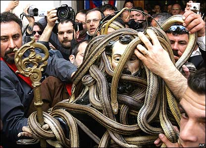 Snakes - Have you ever seen so many snakes?