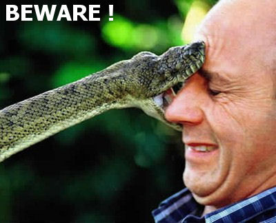 beware - beware of the snakes