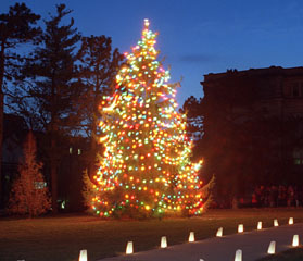 Christmas time - Here is a pretty Christmas tree