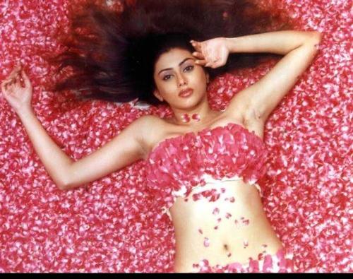 Bollywood Actress-23 - Bollywood Actress-23Bollywood Actress-23Bollywood Actress-23Bollywood Actress-23