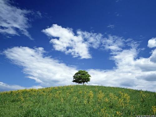 Natural Picture-13 - Natural Picture-13Natural Picture-13Natural Picture-13