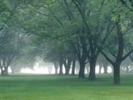 Natural Picture-17 - Natural Picture-17Natural Picture-17Natural Picture-17