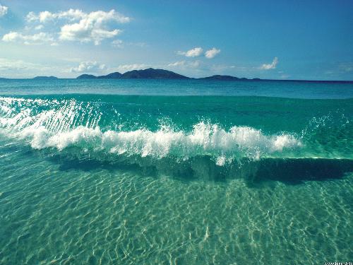 Natural Picture-15 - Natural Picture-15Natural Picture-15Natural Picture-15