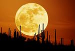 Moon - Moon is the natural satellite of earth between of many artificial satellite made by human. It is cause increase and decrease the surface of the sea water. By the youth, moon use as the nice image in their love....wow.