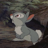 Thumper bunny  - bringing in the new year