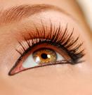 eyelashes - does eyelashes grow back...