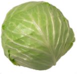 Cook Cabbage for the New Year - Head of Cabbage