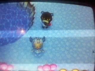 dancing grizzly - This is grizzly from animal crossing dancing on new years eve.