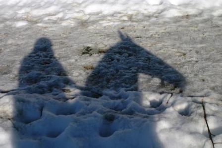 My horse - The shadows of me and my horse