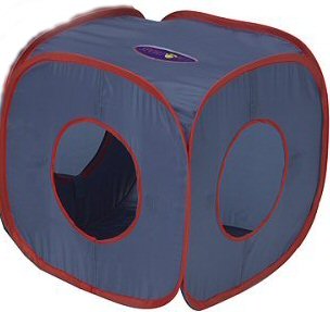Cat Cube... - Cat Cube... Cat Cube... - Cat Cube...