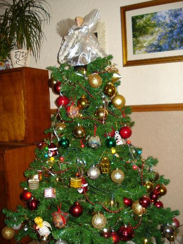 Christmas Tree - Mum's Christmas Tree in the extension. Very nice!