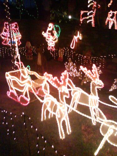 Reindeer Christmas Lights - reindeer christmas lights
