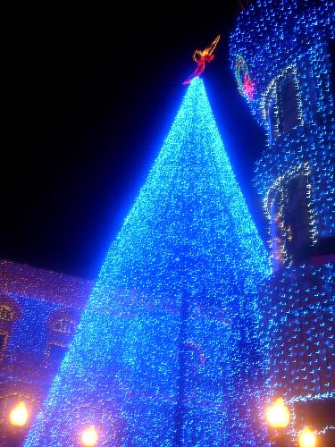 Beautifully Decoracted Christmas Tree  - A Christmas Tree in Disney World beautifully decorated. I love this picture.