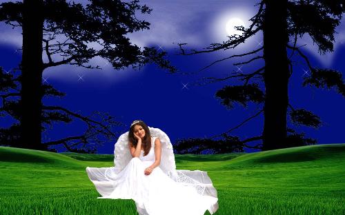remake of sneha ullal - nice sneha ullal