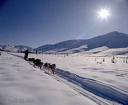 winter time - winter time, everything is white, roads, nature