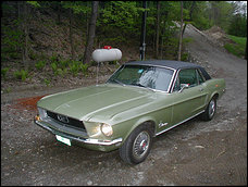 dream car - classic ford mustang.