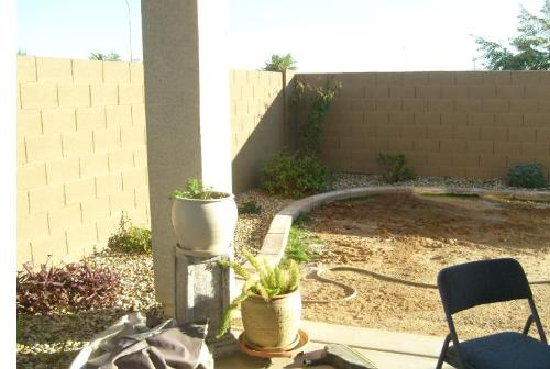 the wall that cat scaled our seven foot wall - this is the wall in our back yard 7 ft high the kitty climbed