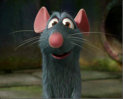 mice - hot to get rid of them mice - hot to get rid of them