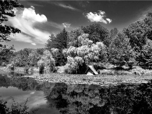 lake in the forest - lake in the forest near the city of Ruse, Bulgaria