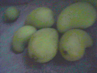 Mangoes - Photo of our mango fruits