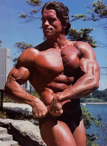 muscles  - good