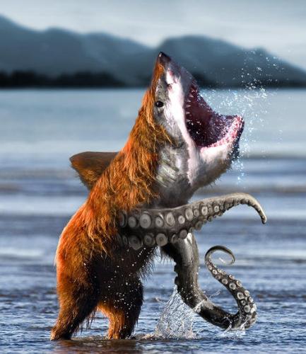 BearSharkPus - shark+bear+octopus