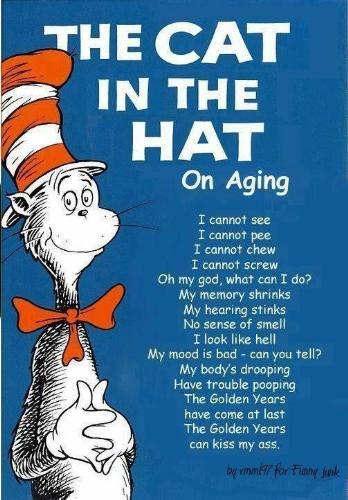 cat in the hat - new rhyme