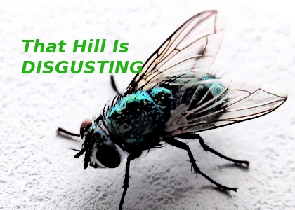 The corruption - The corruption runs too deep in Capital Hill.