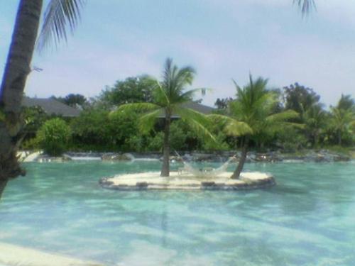 resort - beautiful resort in Cebu