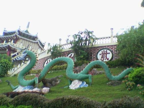 chinese dragon - Chinese dragon