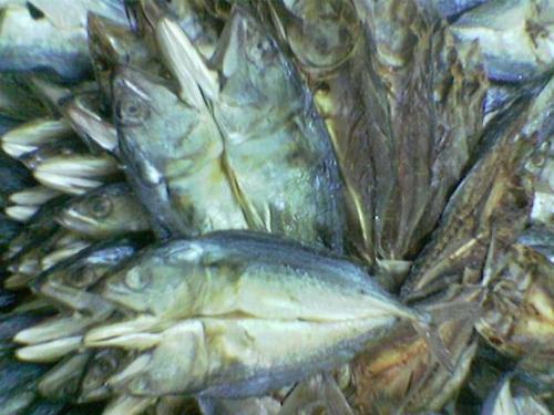fish - dried fish