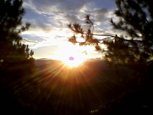 sunshine - This is a shot taken in an early morning.It was shared to me by my friend.this signifies new hope and a brighter day.