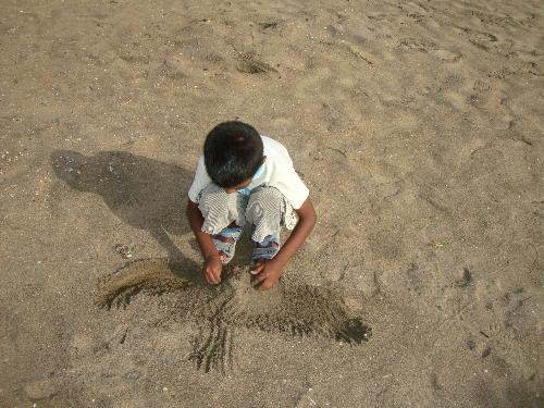 Making his dream home from beach - This photo was taken from a goa beach