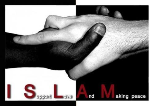 islam supports love n peace  - Islam supports love n making peace n it hates terror.