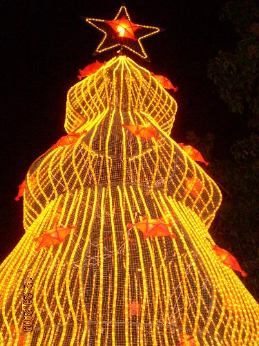 xmas - xmas tree