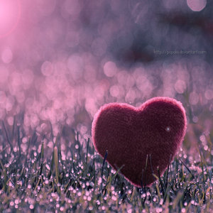 single heart - single heart for someone who is alone and searching for company.