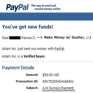 awsurvey7 payment proof - haha..