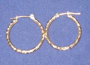 earrings - Picture of some hoop earrings. What the heck did you think I was talking about? LOL