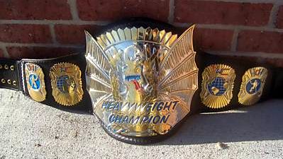 One of a kind belt - This is a one of a kind wrestling belt.