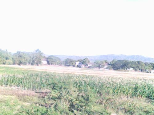 Mountain trail - This is where the place I live with in the mountainous area of Abra