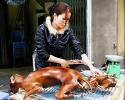 Poor dog :-( - Dog has been slaughtered for meat.