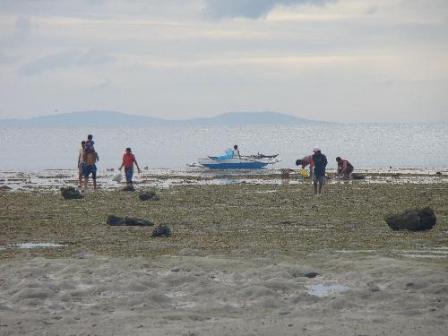 Life at the Beach - People gather here during low-tide to find some foods that they can serve at their tables for the next meal time. Life at the Beach - People gather here during low-tide to find some foods that they can serve at their tables for the next meal time.