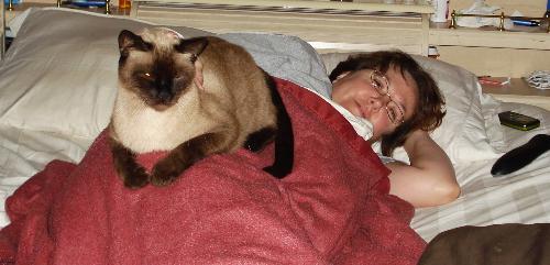 My furbaby Sam Cat - This is a picture of me and my furbaby cat Samson doing our favorite thing: chillaxin and watching TV!