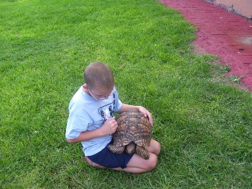 My son with a tortouse - My son Johan with his tortouse named Sputnik