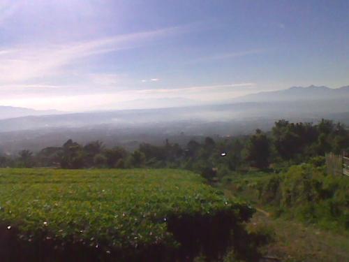 Pagar Alam - this image is a photograph of a beautiful mountainous natural