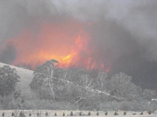 Fire at KIlmore - Fire in my brother in law's back yard.