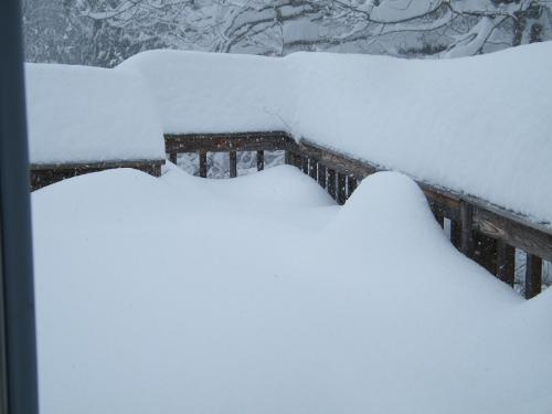 Deck at 10:00 a.m. - The snow is still coming down hard but I wanted to show you what we got so far.