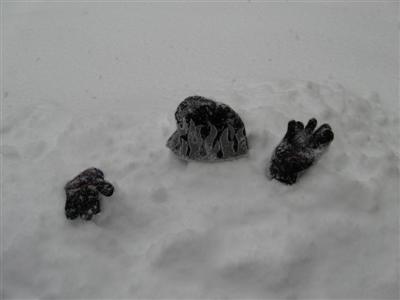 Hi From Snowy VA - Stepping outside during a snowstorm Hi From Snowy VA - Stepping outside during a snowstorm