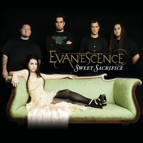 photo - photo of evanescence