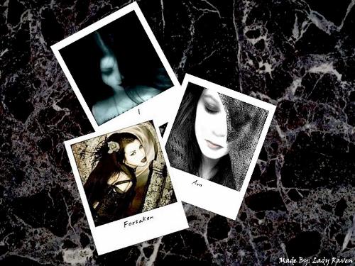 amy's photos - photos of amy lee